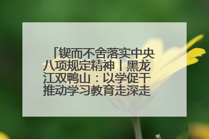 锲而不舍落实中央八项规定精神丨黑龙江双鸭山：以学促干推动学习教育走深走实 从小事入手写好“民生答卷”