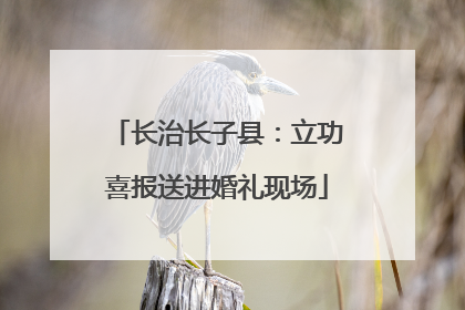 长治长子县：立功喜报送进婚礼现场