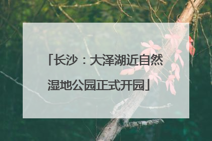 长沙：大泽湖近自然湿地公园正式开园
