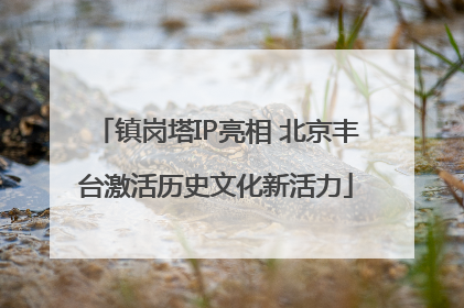 镇岗塔IP亮相 北京丰台激活历史文化新活力
