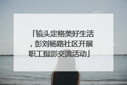 镜头定格美好生活，彭刘杨路社区开展职工摄影交流活动