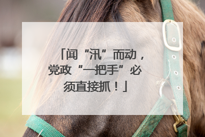 闻“汛”而动，党政“一把手”必须直接抓！
