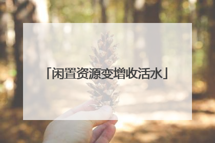 闲置资源变增收活水