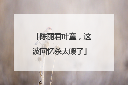 陈丽君叶童，这波回忆杀太暖了