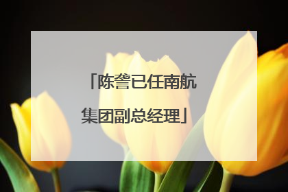 陈詟已任南航集团副总经理