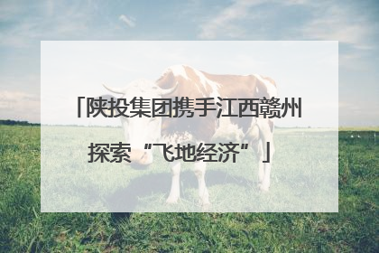 陕投集团携手江西赣州 探索“飞地经济”