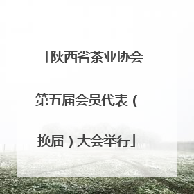 陕西省茶业协会第五届会员代表（换届）大会举行