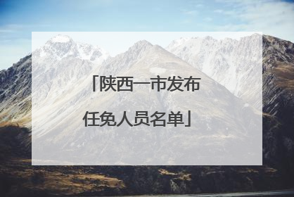 陕西一市发布任免人员名单