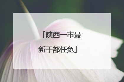 陕西一市最新干部任免