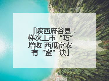 陕西府谷县：梯次上市“巧”增收 西瓜富农有“蜜”诀