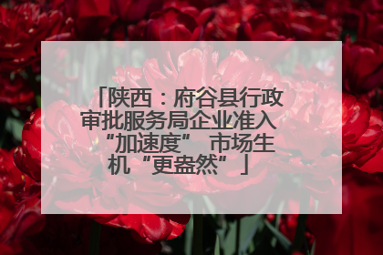 陕西：府谷县行政审批服务局企业准入“加速度” 市场生机“更盎然”
