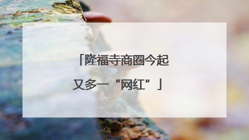 隆福寺商圈今起又多一“网红”