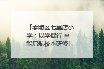 零陵区七里店小学：以学促行 蓄能启航校本研修