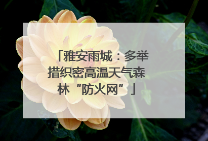 雅安雨城：多举措织密高温天气森林“防火网”