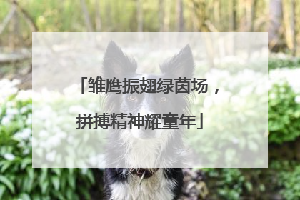 雏鹰振翅绿茵场，拼搏精神耀童年