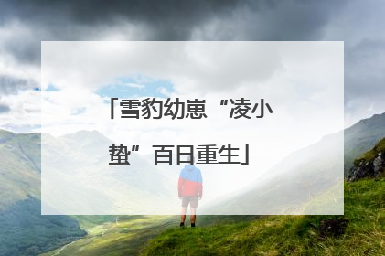 雪豹幼崽“凌小蛰”百日重生