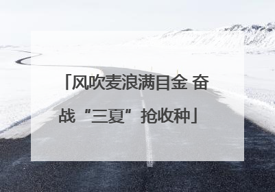 风吹麦浪满目金 奋战“三夏”抢收种