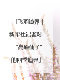 飞羽镜界｜新华社记者对“高原仙子”的四季追寻