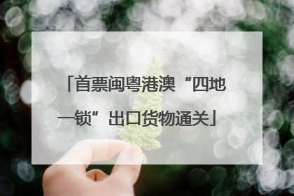 首票闽粤港澳“四地一锁”出口货物通关