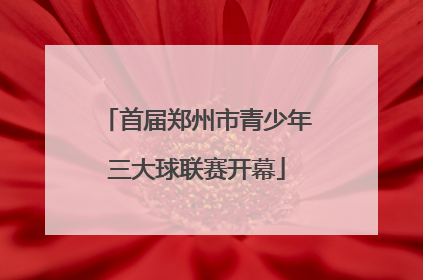 首届郑州市青少年三大球联赛开幕