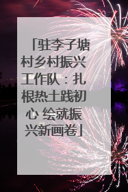 驻李子塘村乡村振兴工作队：扎根热土践初心 绘就振兴新画卷