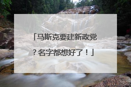 马斯克要建新政党？名字都想好了！
