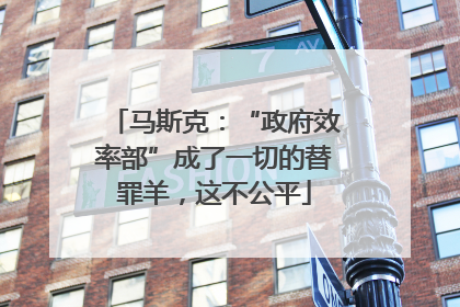 马斯克：“政府效率部”成了一切的替罪羊，这不公平
