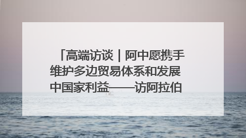 高端访谈｜阿中愿携手维护多边贸易体系和发展中国家利益——访阿拉伯议会议长亚马希