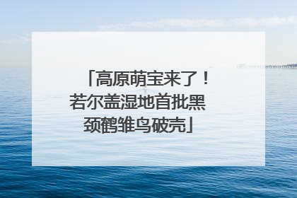 高原萌宝来了！若尔盖湿地首批黑颈鹤雏鸟破壳