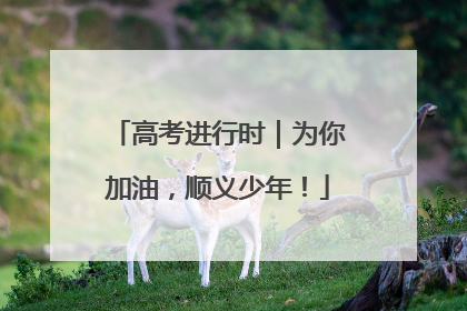 高考进行时｜为你加油，顺义少年！