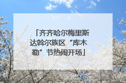 齐齐哈尔梅里斯达斡尔族区“库木勒”节热闹开场