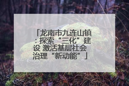 龙南市九连山镇：探索“三化”建设 激活基层社会治理“新动能”