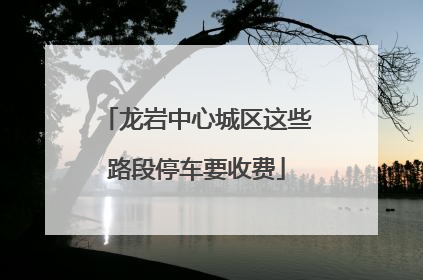 龙岩中心城区这些路段停车要收费