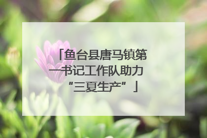 鱼台县唐马镇第一书记工作队助力“三夏生产”