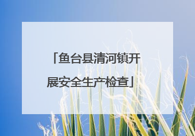 鱼台县清河镇开展安全生产检查