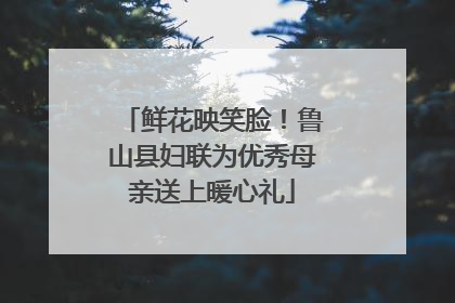 鲜花映笑脸！鲁山县妇联为优秀母亲送上暖心礼
