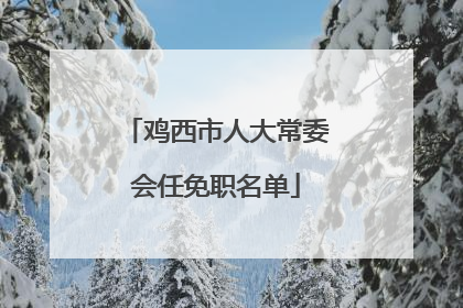 鸡西市人大常委会任免职名单