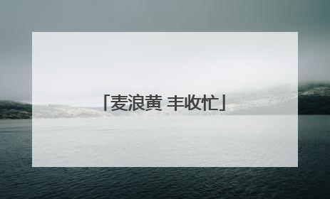 麦浪黄 丰收忙