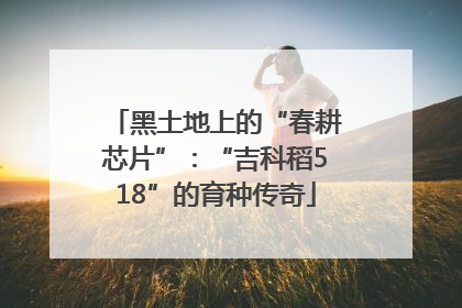 黑土地上的“春耕芯片”：“吉科稻518”的育种传奇