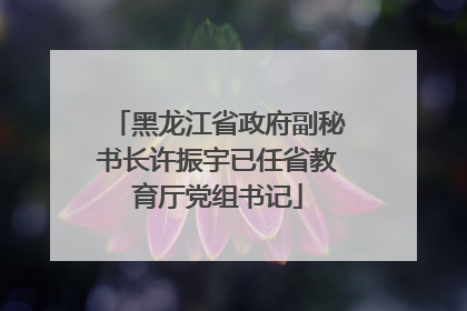 黑龙江省政府副秘书长许振宇已任省教育厅党组书记