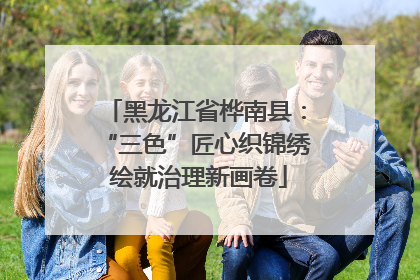黑龙江省桦南县：“三色”匠心织锦绣 绘就治理新画卷