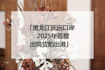 黑龙江抚远口岸：2025年首艘出境货船出港