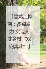黑龙江桦南：多点发力 实现人才乡村“双向奔赴”