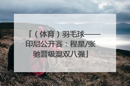 （体育）羽毛球——印尼公开赛：程星/张驰晋级混双八强