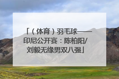 （体育）羽毛球——印尼公开赛：陈柏阳/刘毅无缘男双八强