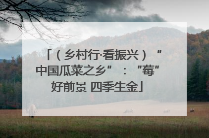 （乡村行·看振兴）“中国瓜菜之乡”：“莓”好前景 四季生金