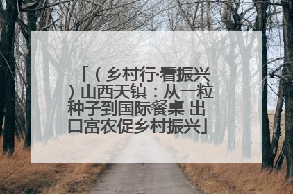 （乡村行·看振兴）山西天镇：从一粒种子到国际餐桌 出口富农促乡村振兴