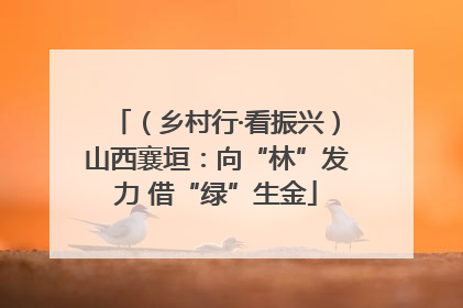 （乡村行·看振兴）山西襄垣：向“林”发力 借“绿”生金