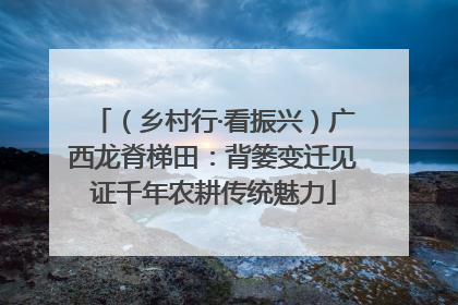 （乡村行·看振兴）广西龙脊梯田：背篓变迁见证千年农耕传统魅力