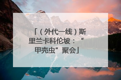 （外代一线）斯里兰卡科伦坡：“甲壳虫”聚会